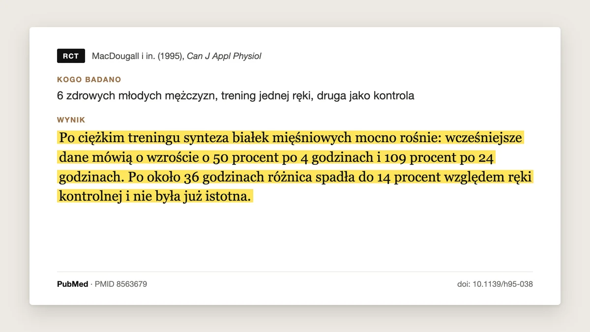 Plansza badania MacDougall i in. 1995: po ciężkim treningu synteza białek mięśniowych mocno rośnie, według wcześniejszych danych o 50% po 4 godzinach i o 109% po 24 godzinach, a po około 36 godzinach różnica spadła do 14% i nie była już istotna.
