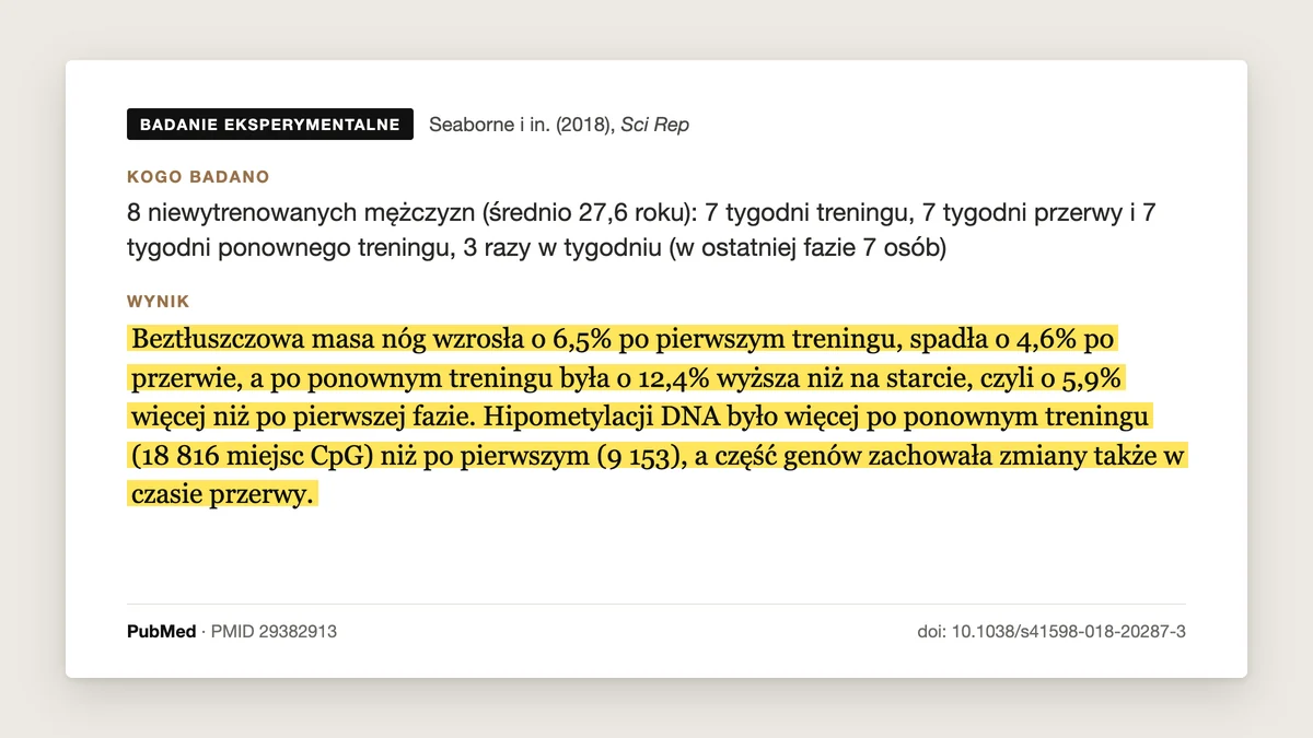 Plansza badania Seaborne i in. 2018: beztłuszczowa masa nóg wzrosła o 6,5% po 7 tygodniach treningu, spadła o 4,6% w 7 tygodniach przerwy, a po 7 tygodniach powrotu była o 12,4% wyższa niż na starcie. Część zmian w metylacji DNA została w mięśniu przez przerwę.
